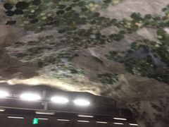 -瓦萨沉船博物馆
