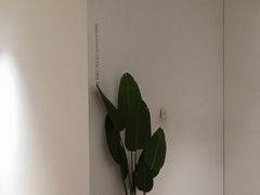 -极简口腔(总院)