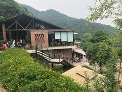 -远山有窑