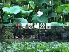 -莫愁湖公园