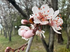 -长广溪湿地公园