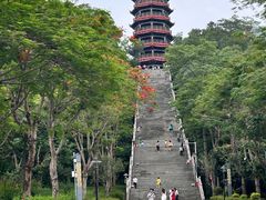 -红花山公园