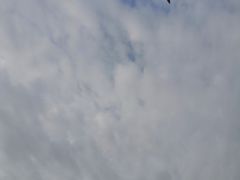 -鑫涛温泉汗蒸时代