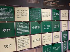 -广东中医药博物馆