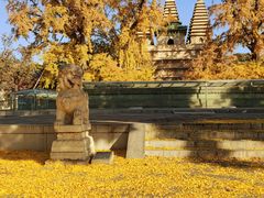-北京石刻艺术博物馆(五塔寺)