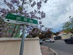 -八大关景区