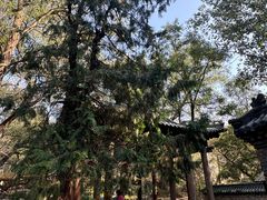 -井塘古村