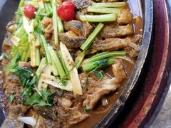 -老板恋上鱼(恒隆广场店)