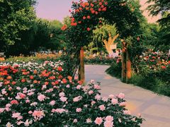 拱门花柱-睦南公园