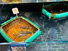 -老阿爸鲜鱼土菜(昆山花桥店)