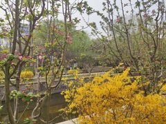 -元大都城垣遗址公园