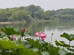 -江南大学(蠡湖校区)