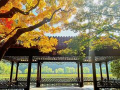 -北山街历史文化街区