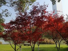 -艾溪湖湿地公园