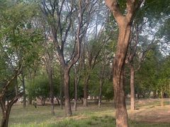 -绿堤公园