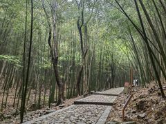 -穹窿山景区