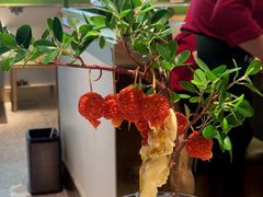 -奔跑吧陕菜·盛世长安(民乐园万达店)