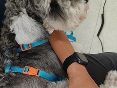 -瑞派福兴宠物医院犬猫全科·骨科·中西医结合(河东店)