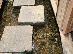 -邈墨茶馆(凤起路店)