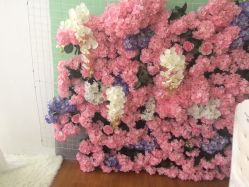 -星宝贝儿童摄影