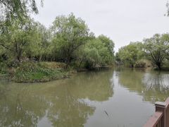 -长兴太湖图影湿地文化园