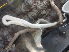 -合肥野生动物园