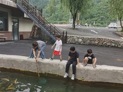 -可心烤鱼