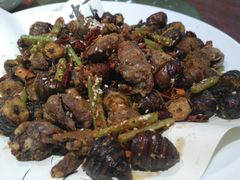 蚕蛹爆鸡心-凯达家宴(宏盛小区店)