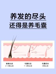 -Bollins波林丝•专研护发中心