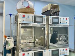 -纳吉亚猫专科动物医院博雅分院