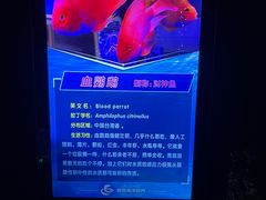 -多彩贵州城极地海洋世界