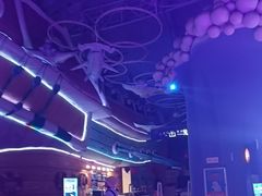 -烟台海昌鲸鲨海洋公园