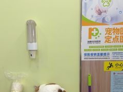 -瑞鹏宠物医院·宠保定点·心脏科·内科(御桥分院)