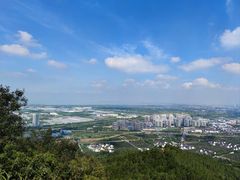 -树山生态村