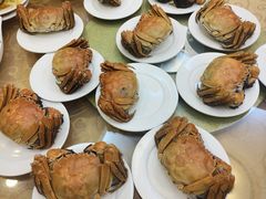 -新光酒家方亮蟹宴(黄浦店)