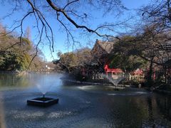 -井之头恩赐公园