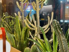 -隅乐胡椒虾·台湾菜·团建(皇岗店)