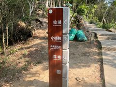 -梧桐山风景名胜区