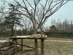 -上海野生动物园