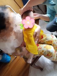 -龙文宝贝上门婴儿理发满月剃胎毛(总店)