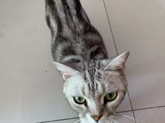 -平行世界·猫咖(首经贸店)