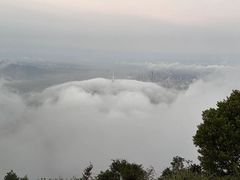 -梧桐山风景名胜区