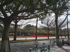 -深圳国际园林花卉博览园