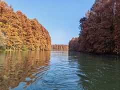 -上海海湾国家森林公园