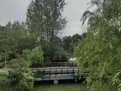 -昆山城市生态森林公园