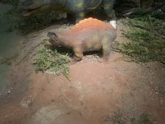 -湖南省地质博物馆