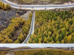 -塞罕坝国家级自然保护区