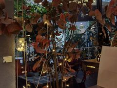 -咖法森林·咖啡  酒吧(天河店)