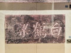 -白鹤梁水下博物馆