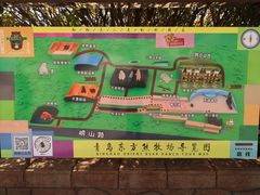 -东方熊牧场